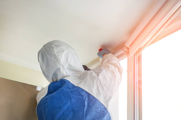 Forensic Mold Investigation in Addison, WV